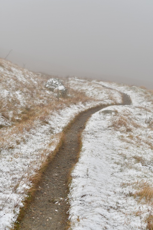 2018-11 Scotland/Ben Lawers/DSC_7741.JPG